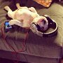 IMG_20260901_135515