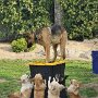 IMG_20260901_135551