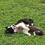 IMG_20260901_135718