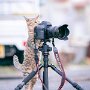 IMG_20260904_135803