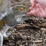 IMG_20260907_155407