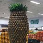 IMG_20260907_155512