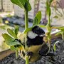 IMG_20260907_155524