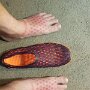 IMG_20260908_125828