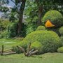 IMG_20260909_135853