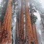IMG_20260909_135912