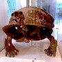 IMG_20260909_135946