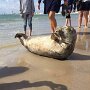 IMG_20260911_134805