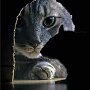 IMG_20260911_134934