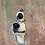 IMG_20260912_125223