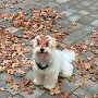 IMG_20260912_125348
