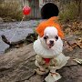 IMG_20260913_143515