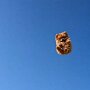 IMG_20260915_134633