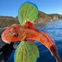 IMG_20260916_135615