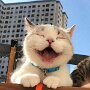 IMG_20260916_135655