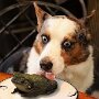 IMG_20260918_140524