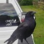 IMG_20260918_140629