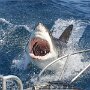 IMG_20260921_131007
