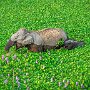 IMG_20260921_131205