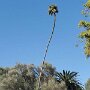 IMG_20260922_135119