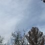 IMG_20260923_065454