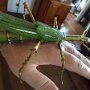 IMG_20260924_135730