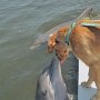 IMG_20260924_135909