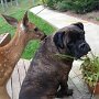 IMG_20260925_134737