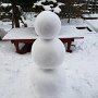 IMG_20260929_171953