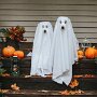 IMG_20261003_134202