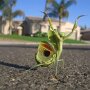 IMG_20261005_135610