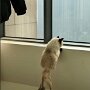 IMG_20261006_132023