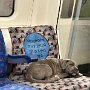 IMG_20261010_145031