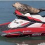 IMG_20261015_135043