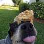 IMG_20261017_140910