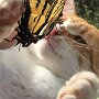 IMG_20261019_134840