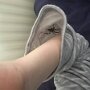 IMG_20261023_133703