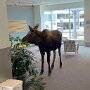 IMG_20261023_133840