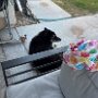 IMG_20261027_071505