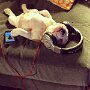 IMG_20261027_140854