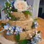 IMG_20261028_135725