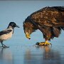 IMG_20261028_135826
