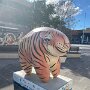 IMG_20261029_135921