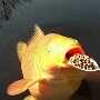 IMG_20261030_153834