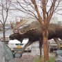 IMG_20261030_153924