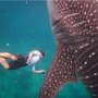 IMG_20260301_075815