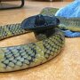 IMG_20260301_075908