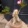 IMG_20260301_080053