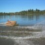 IMG_20260302_070627