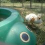 IMG_20260302_070713